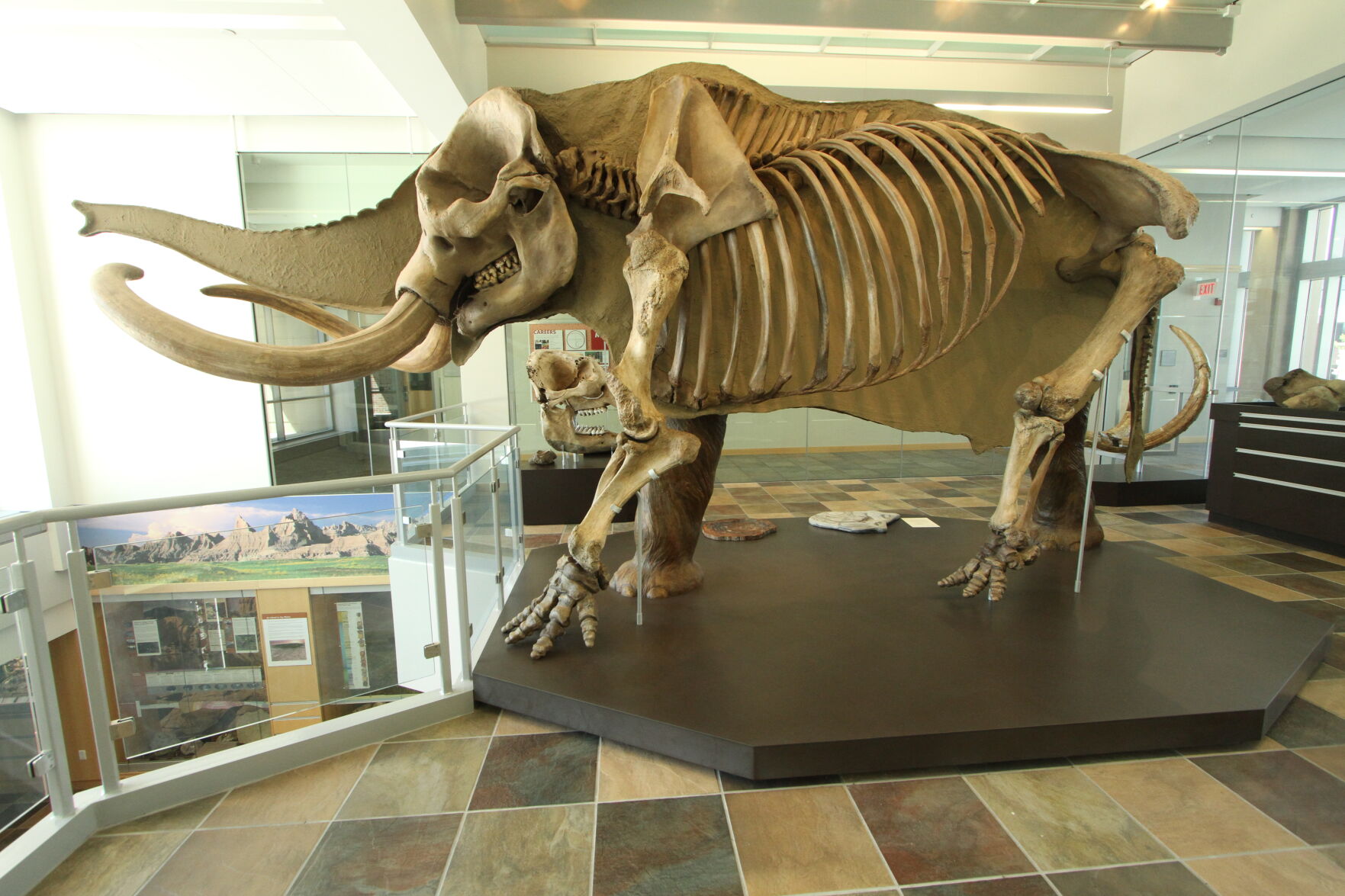 PerryMastodon-10.jpg